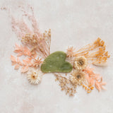 Gua Sha French Aging